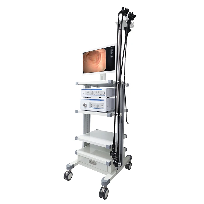 MN-ESP002 Liaison Medical Professional Endoscopic Tower Medical Colonoscopy with Cold Light Source for Clinic
