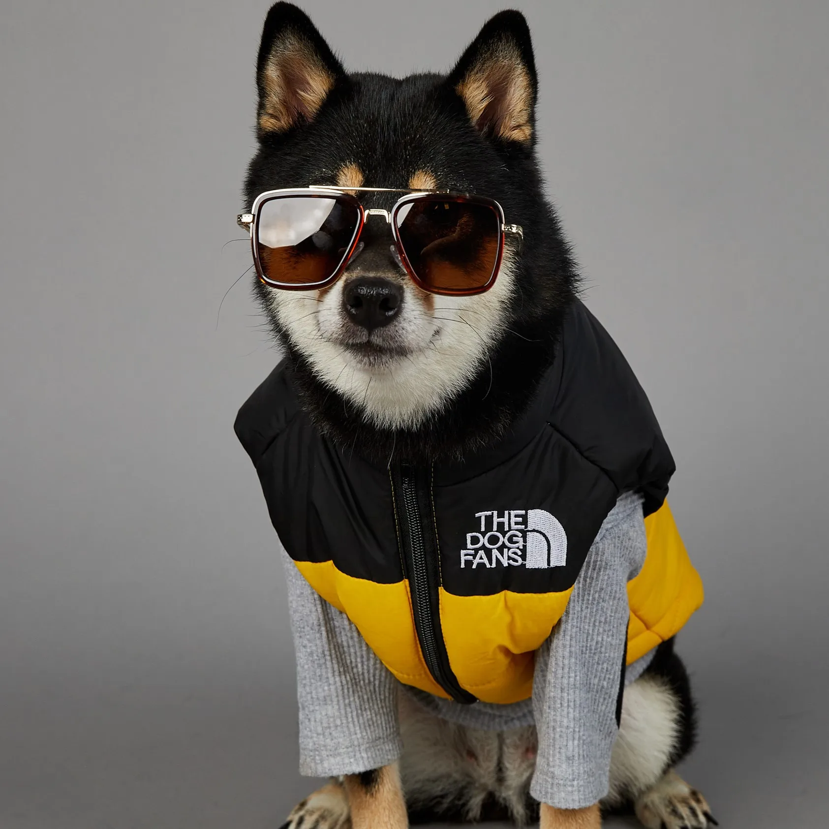 Chubasquero cálido para perros grandes, ropa de algodón para mascotas, a prueba de viento y lluvia, Invierno