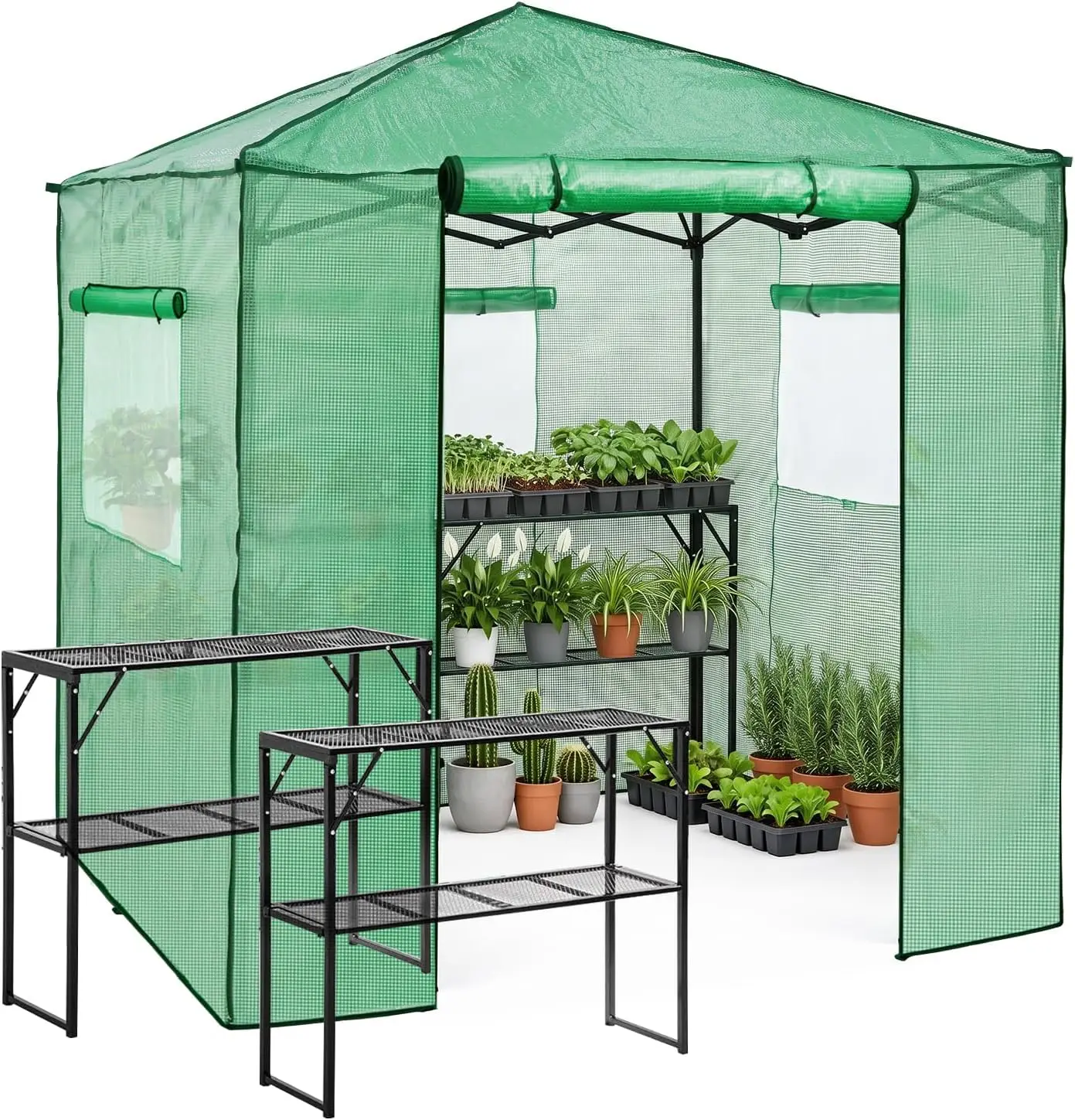 7x7 Pop-Up Greenhouse with Easy Setup, Clear/Green, Includes 2 Folding Shelves
