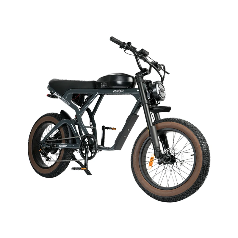 Clrak Bafang Motor 52v 750W/1000w Fat Tire Full Suspension  Hybrid Bike  55km/h Hub Motor Electric Beach Bicycle E Bike
