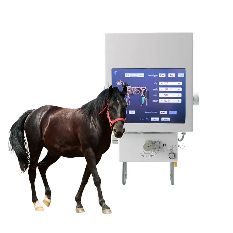 LHDINP Veterinary products medical portable digital x-ray device price cheap veterinary x-ray for horse