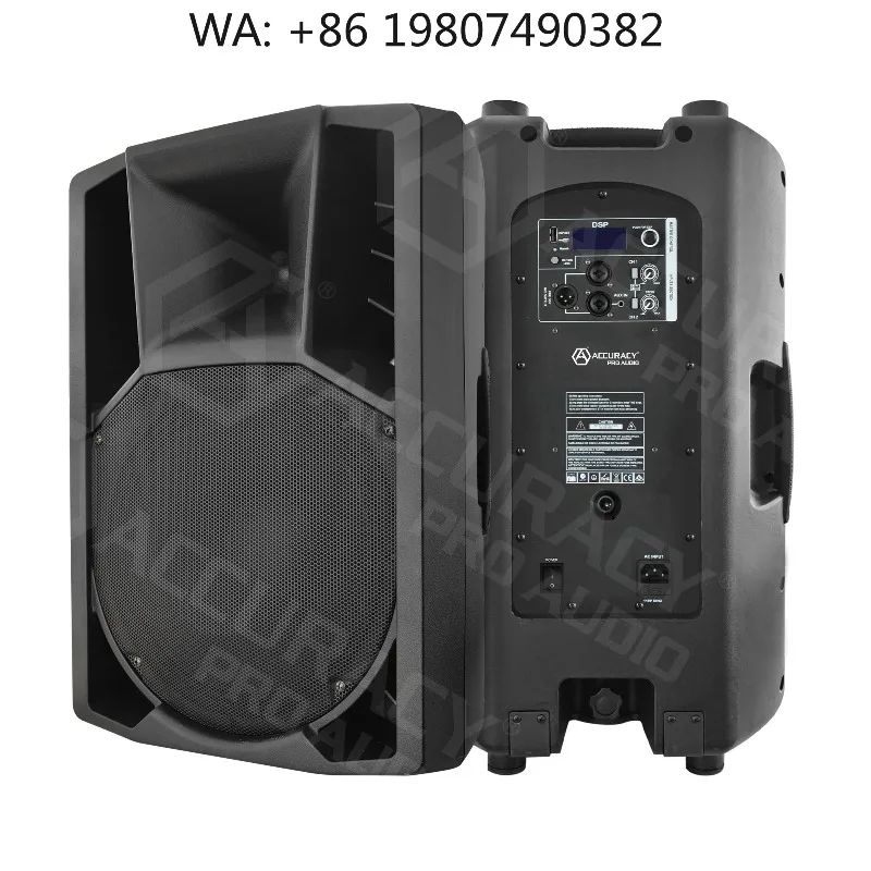 

Professional Active PA Speaker High Power DJ Stage Custom Full Sound System Equipment