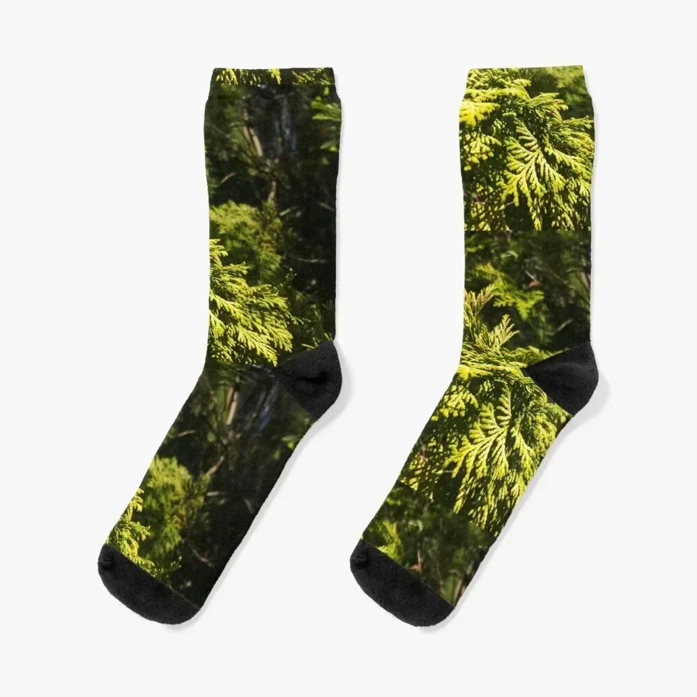 Cedar Maze, Closeup Texture, Beauty of Nature by Courtney Hatcher Socks shoes Crossfit Christmas Socks For Men Women's