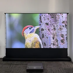 New Anti-Light T Prism Electronic 100 inch Floor Rising Projection Screen Motorized ALR/CLR For Short Throw Projector Screens