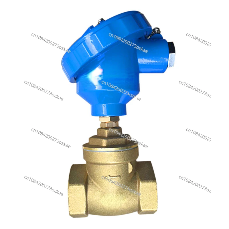 Explosion-Proof Check Valve Baffle Type Normally Open Flow Signal Water Flow Induction Switch