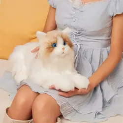Simulation Cat Doll Cloth Cat Doll Costume Cat Touch makes a cat meow Cute Cosplay Dress Children And Girls Burthday Gift