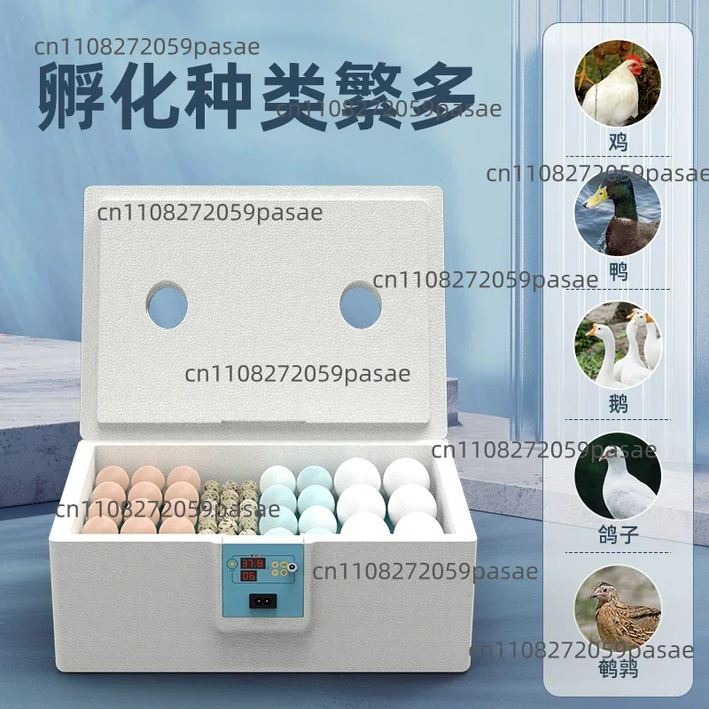 Small Water-Bed Rutin Chicken Incubator for Home Use: Fully Automatic Smart Incubator for Chicks, Ducks, and Geese