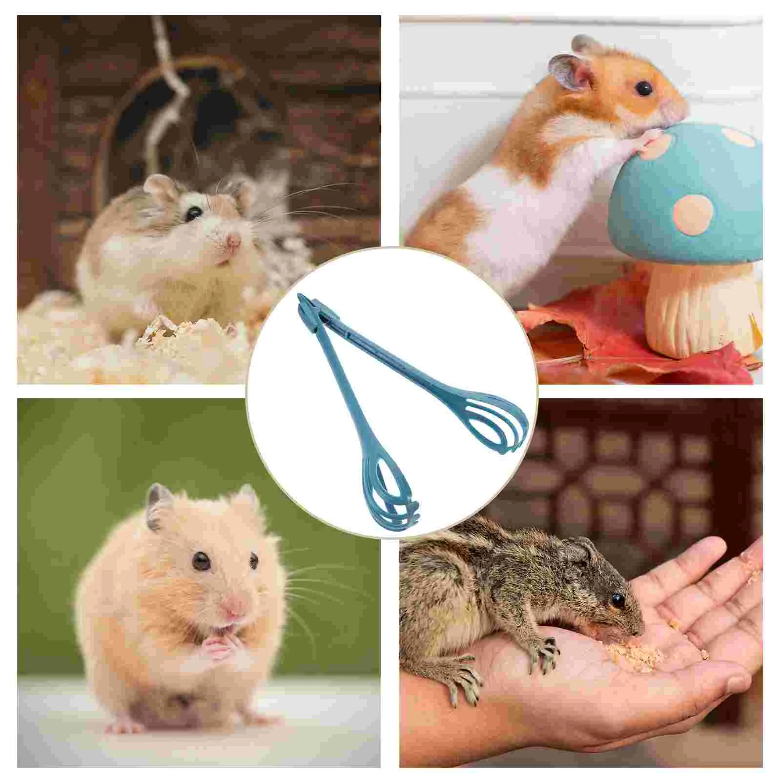 Hamster Trap Guinea Pig Clips Reptile Poop Scoop Dough Whisk Plastic Egg Multifunctional Tong Multi-use Food Blender