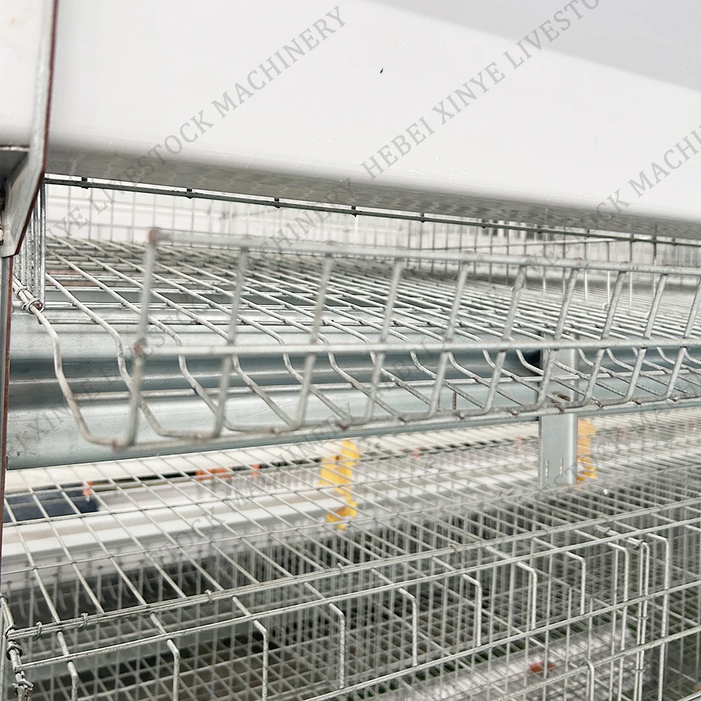 Egg Chicken Cage Manure Cleaning Battery Cages Hot Sale h Type Poultry Farm Design Layout Cage for Sale in Ghana