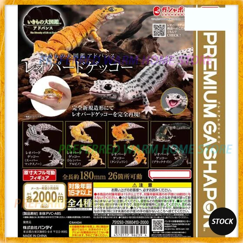 In stock Premium Gashapon Egg Big Biological Map Of big Leopard geckos (wall) gecko lizard Movable Model GACHA TOYS