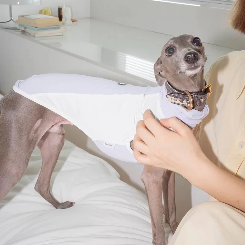 

UPF50+ Little Italian Greyhound Jumpsuit Spring Summer Sun-proof Dog Cooling Clothes for Small Whipbit Terrier Dogs