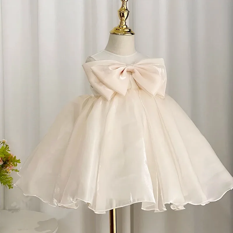 

2024 Round Neck Sleeveless Girls Princess Dress Cute Fairy Dresses Girl Children's Birthday Party Vestidos Formal Kids Clothing