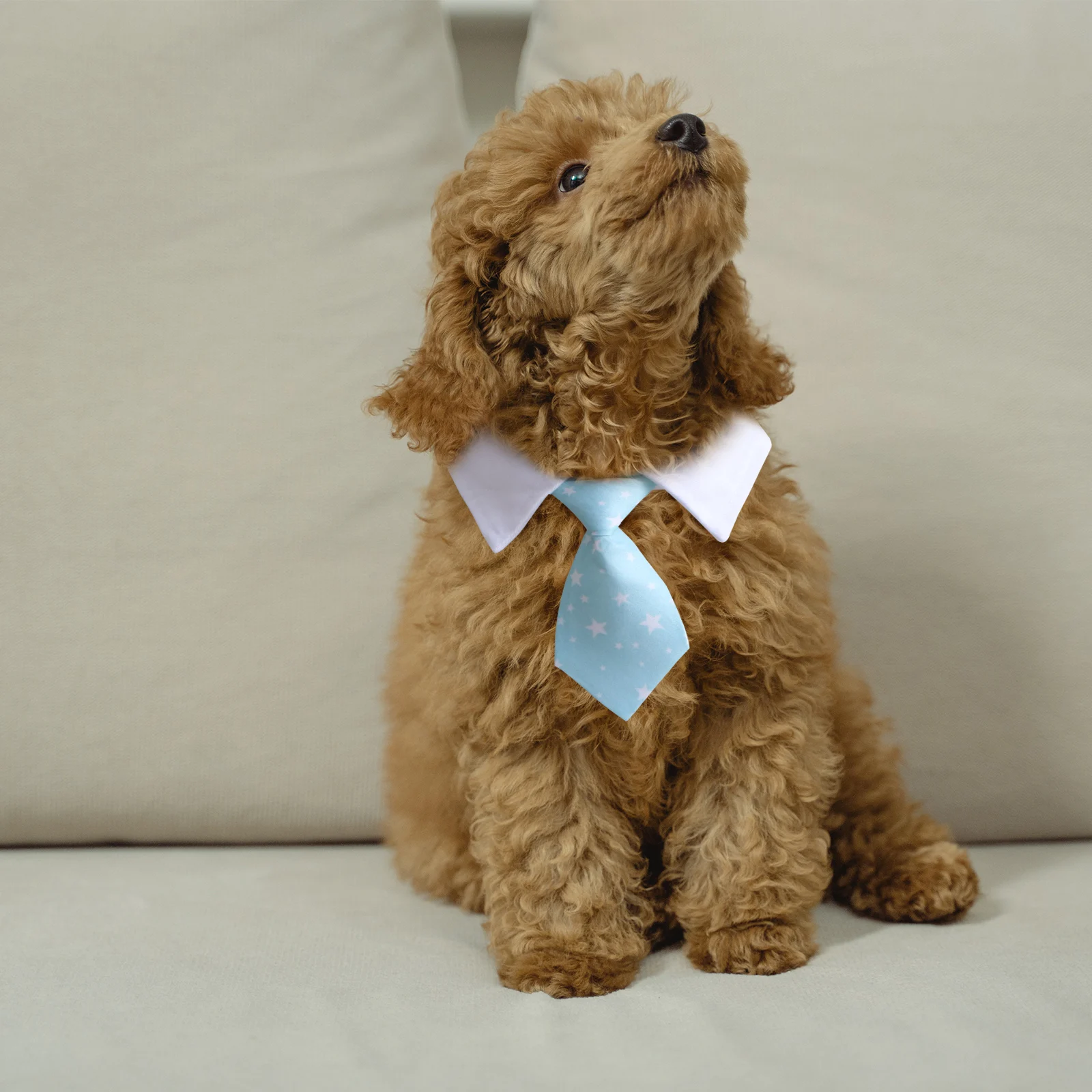 

Dog Tie Neck Adjustable Pet Grooming Necktie Polyester Cotton Bridegroom Collar
