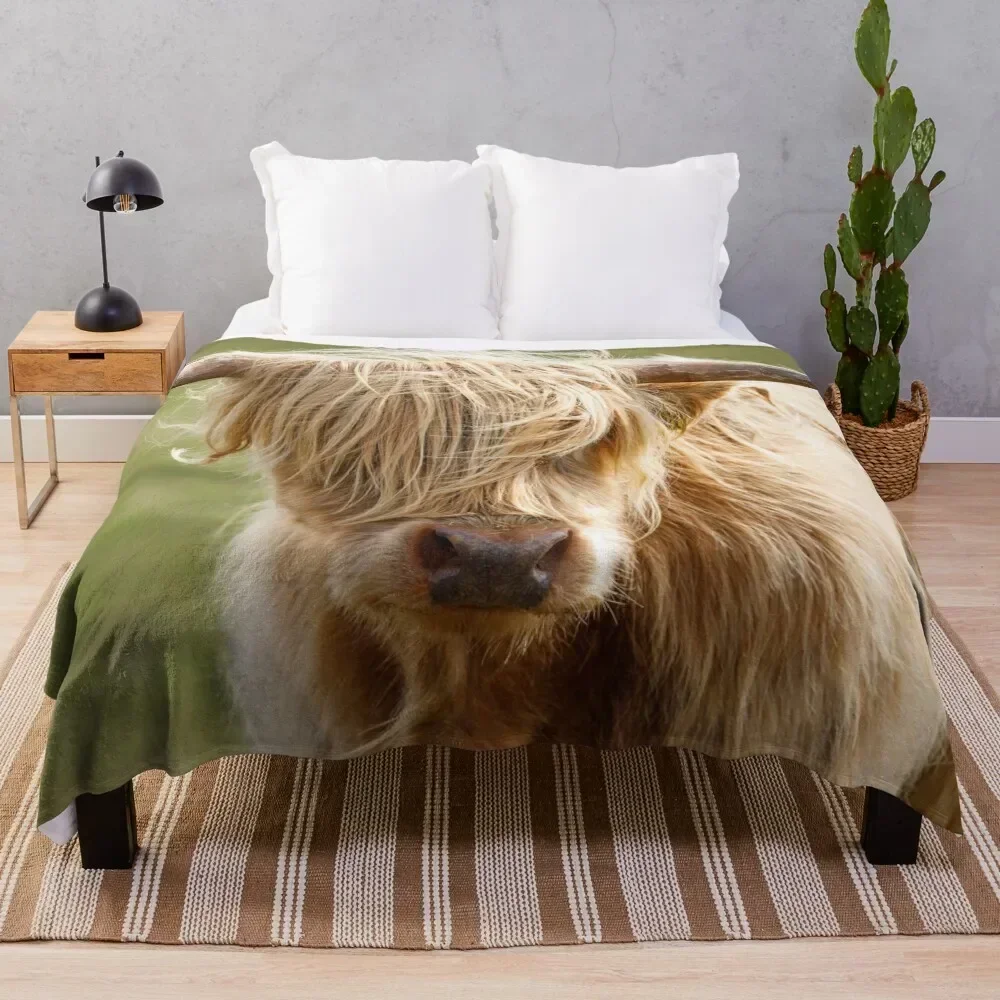 Scottish Highland Cow Throw Blanket Soft Plush Blanket as Housewarming Gift