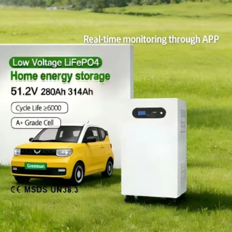 Long-Life 51.2V 16KW Hybrid Grid BMS LiFePO4 Energy Storage Cabinet 6000 Deep Cycle Batteries CAN Floor Mounted for Household