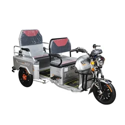 2021 electric motorcycle 3 wheel motorcycles 2 seats car three wheeled hot selling