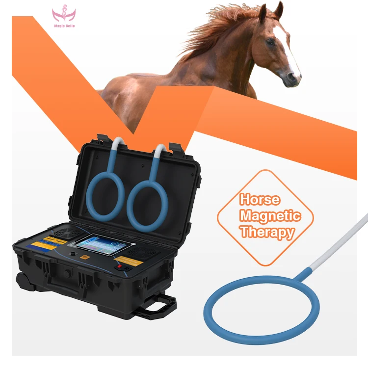 High Energy Pain Relief Electromagnetic EMTT Vet Therapy Magnetotherapy Magnetic Pemf Equine Horse Therapy Machine