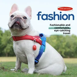 Three-color Contrasting Dog Leash Hemming Process Webbing Widening Does Not Restrain The Neck Saddle Dog Chest Strap