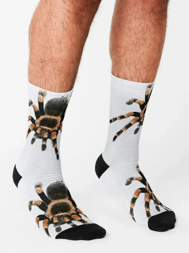 little spider, tarantula, spider Socks heated Running bright garter sports stockings Boy Child Socks Women's