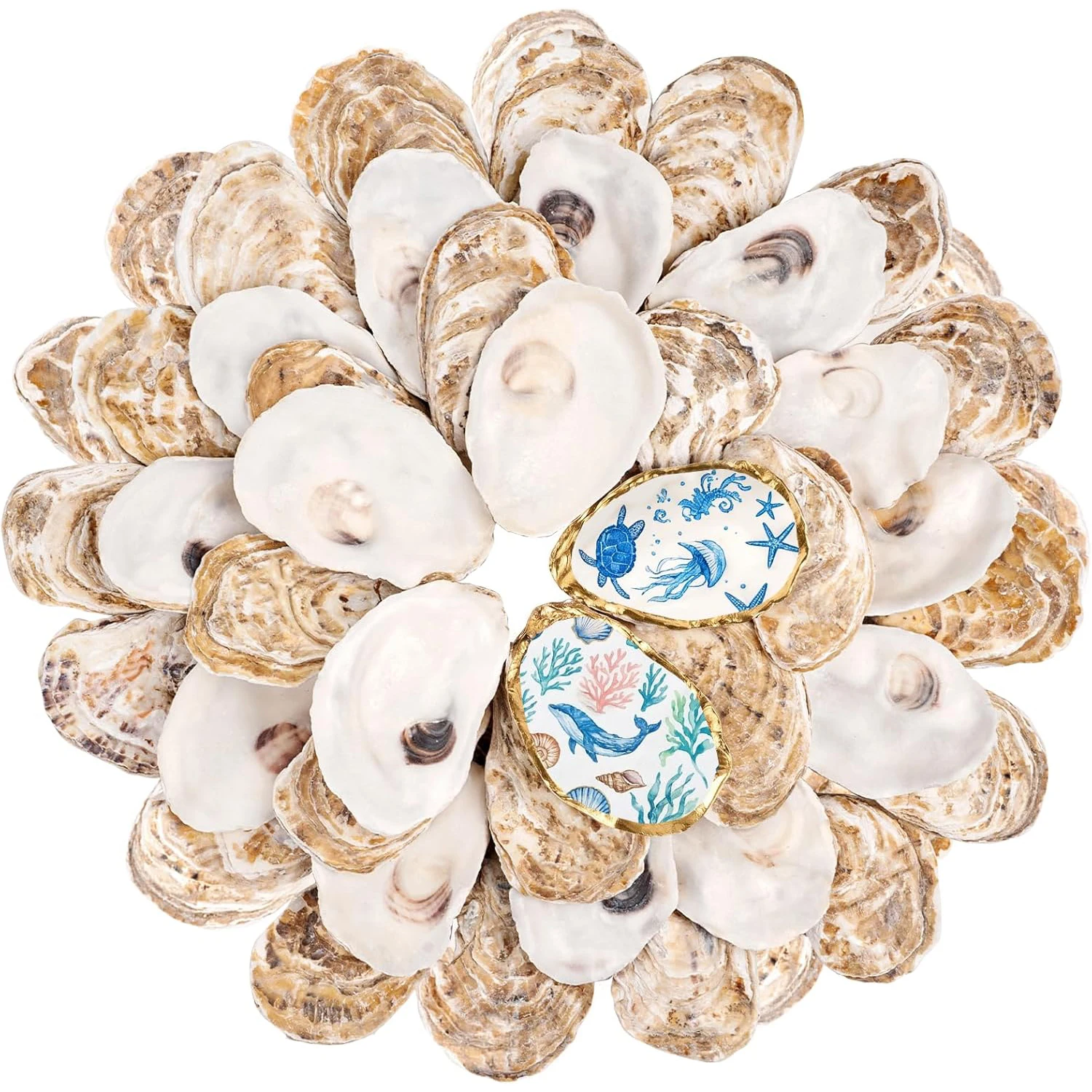Conchas de Ostra Pequenas e Planas para Artesanato, Conchas de Ostra Naturais Limpas de 2-3 Polegadas para Decoupage, Pintura, Enchimento de Vasos, Decoração DIY para Casamentos