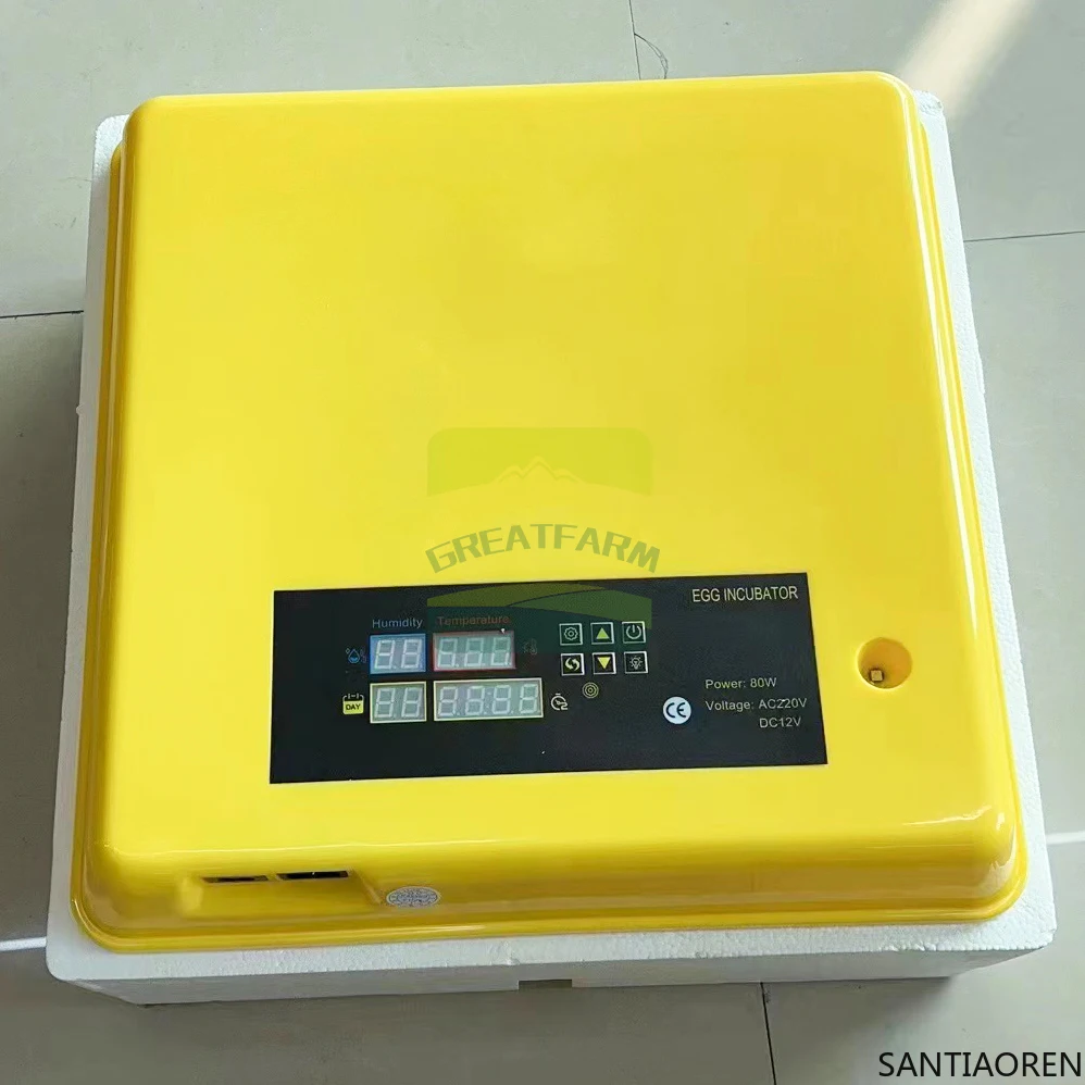 

12/110/220V Digital Mini Incubator with Competitive Price for Sale