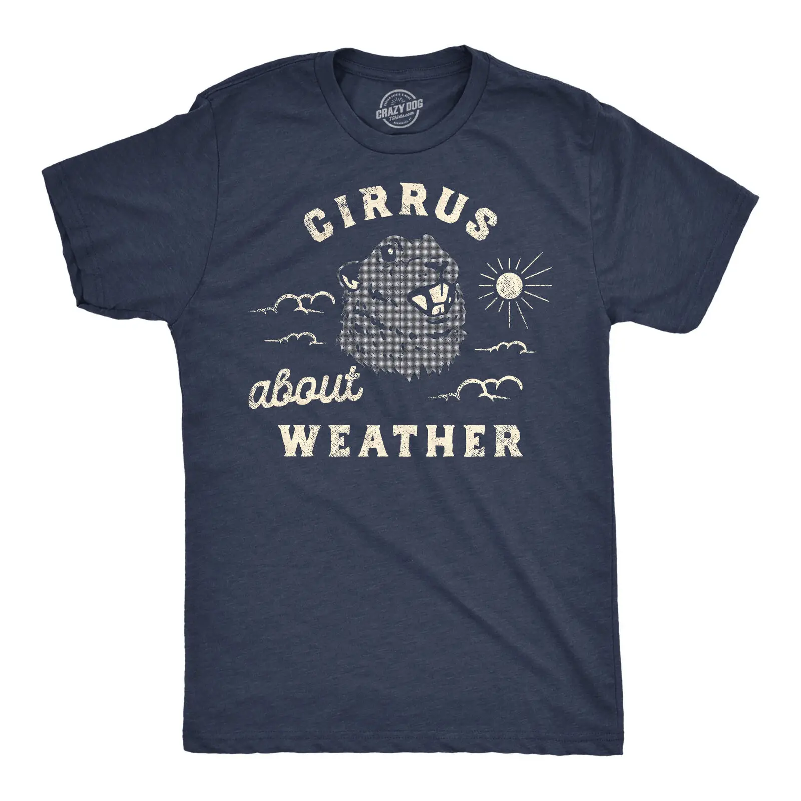 Mens Cirrus About Weather T Shirt Funny Ground Hogs Day Cloudy Shadow Joke Tee