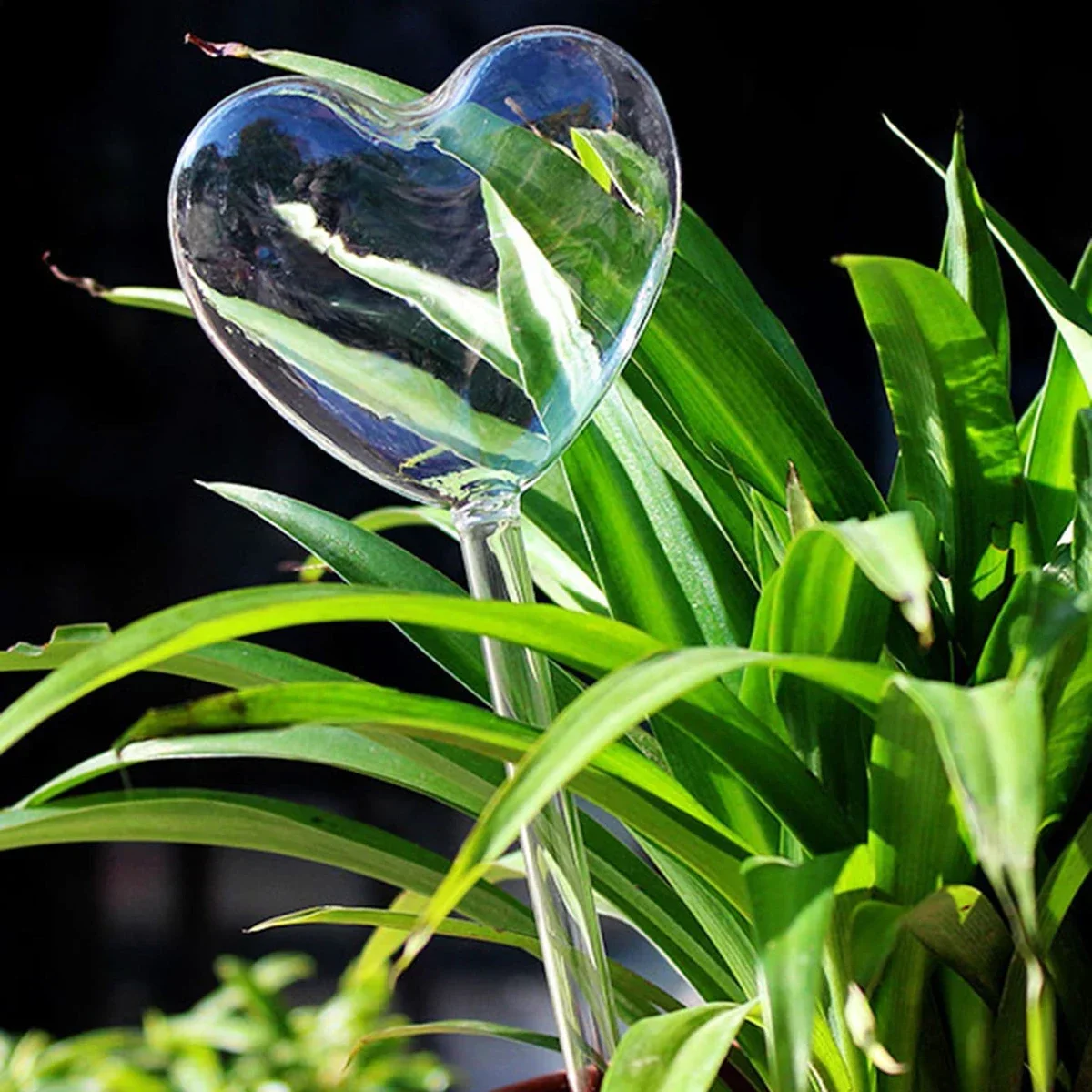1pc Automatische Pflanzen Bewässerung Glühbirnen Selbst Bewässerung Vogel Form Wasser Gerät Tropf Bewässerung System für Haus Garten Blume pflanzen