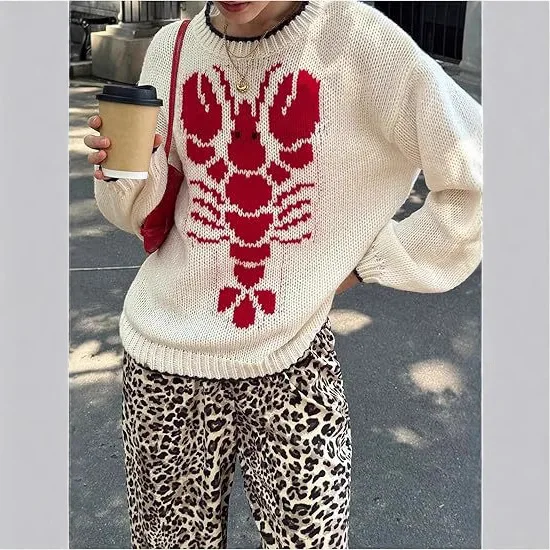 

2025 New European and American Women's Winter Sweater Half High Collar Pullover Straight Tube Printed Neutral Style Sweater