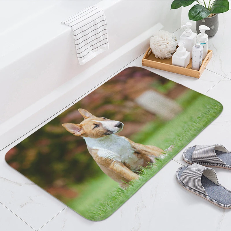 Bull Terrier Dog Entrance Door Doormat Living Room Floor Carpet Kitchen Bathroom Foot Mat Hallway Bedroom Rug Slip-resistant