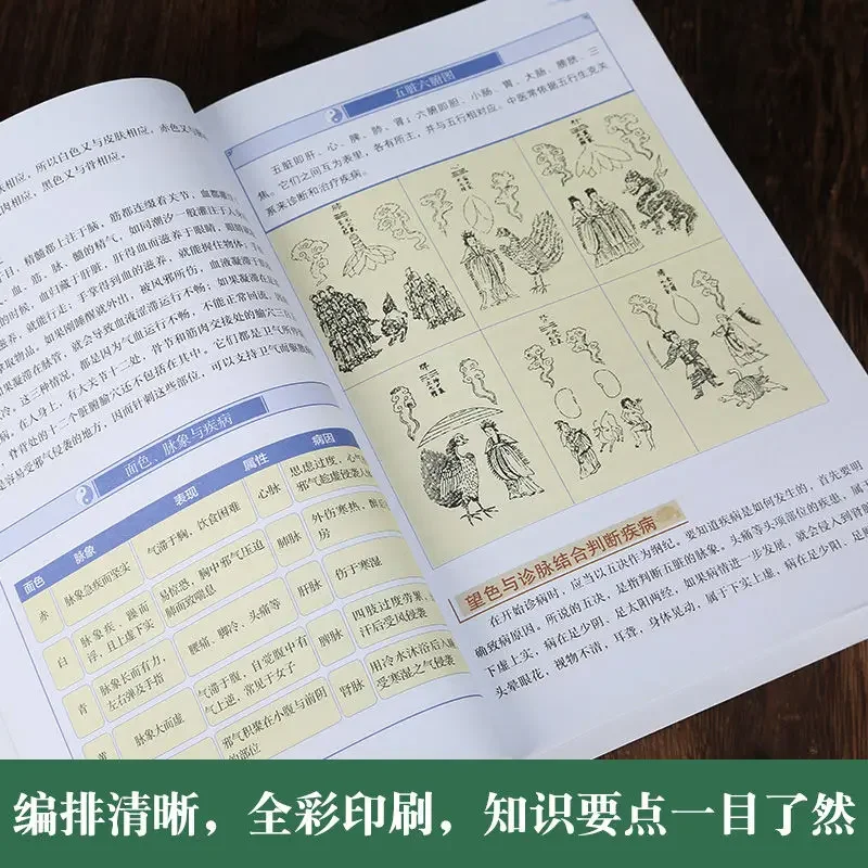 Imagem -05 - Gráfico Huangdi Neijing Obras Completas de Medicina Tradicional Chinesa Livros Teoria Básica Saúde Livros