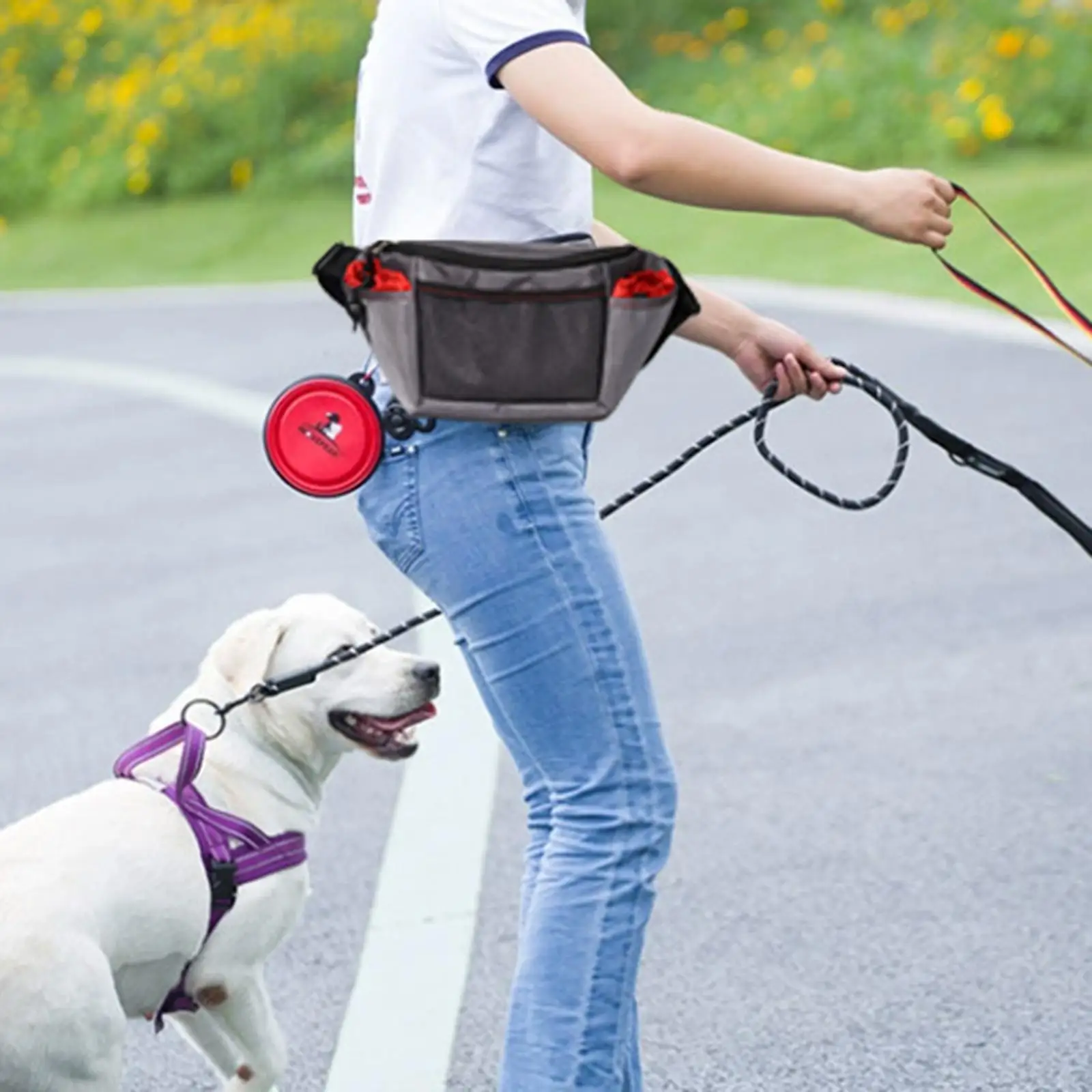 

Dog Treat Pouch Adjustable Holder Portable Multipurpose Pet Training Bag for