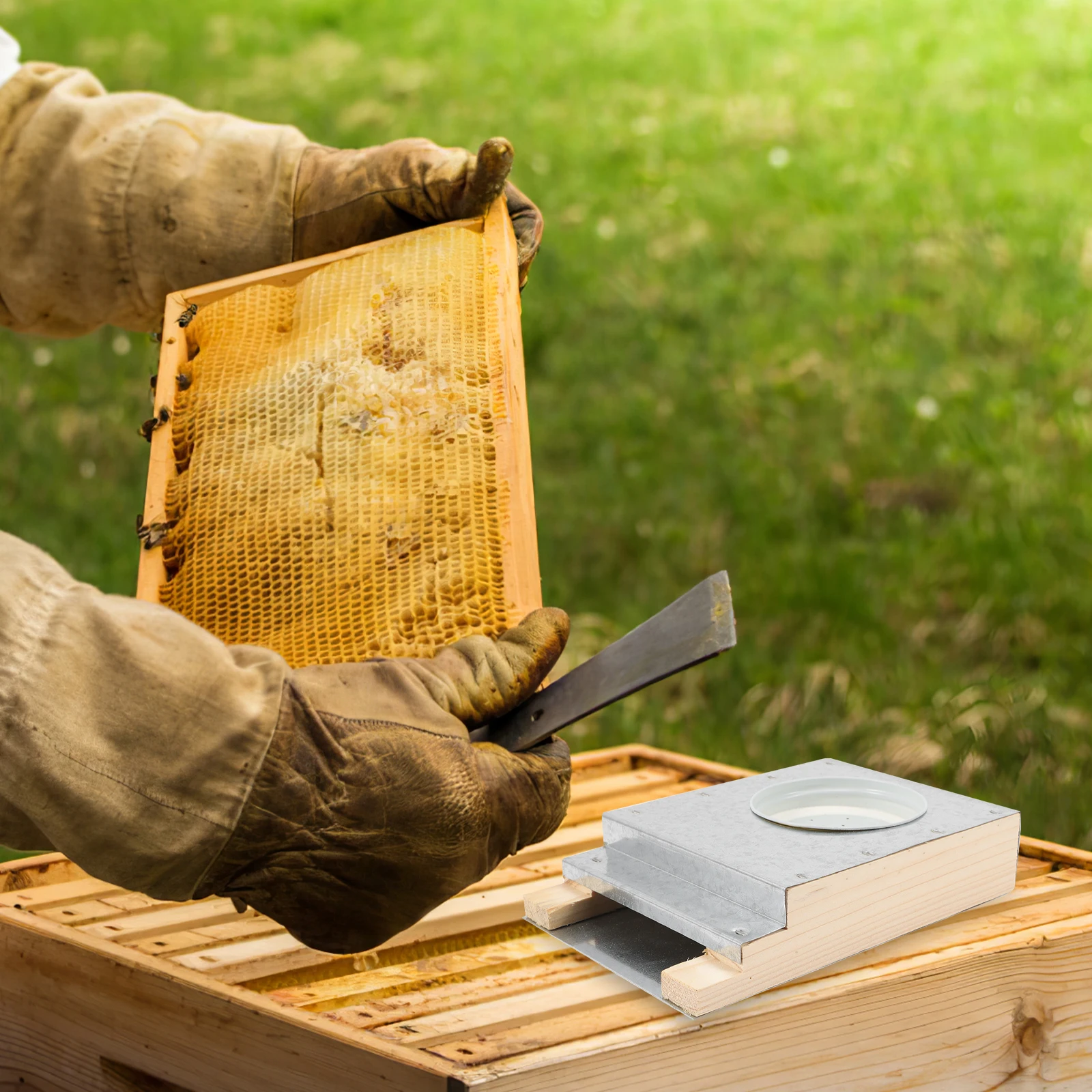 

Bees Water Feeder Light Wood Board Base Durable High Impact Resistance Entrance Feeder Easy Operation Beehive Water Drinking