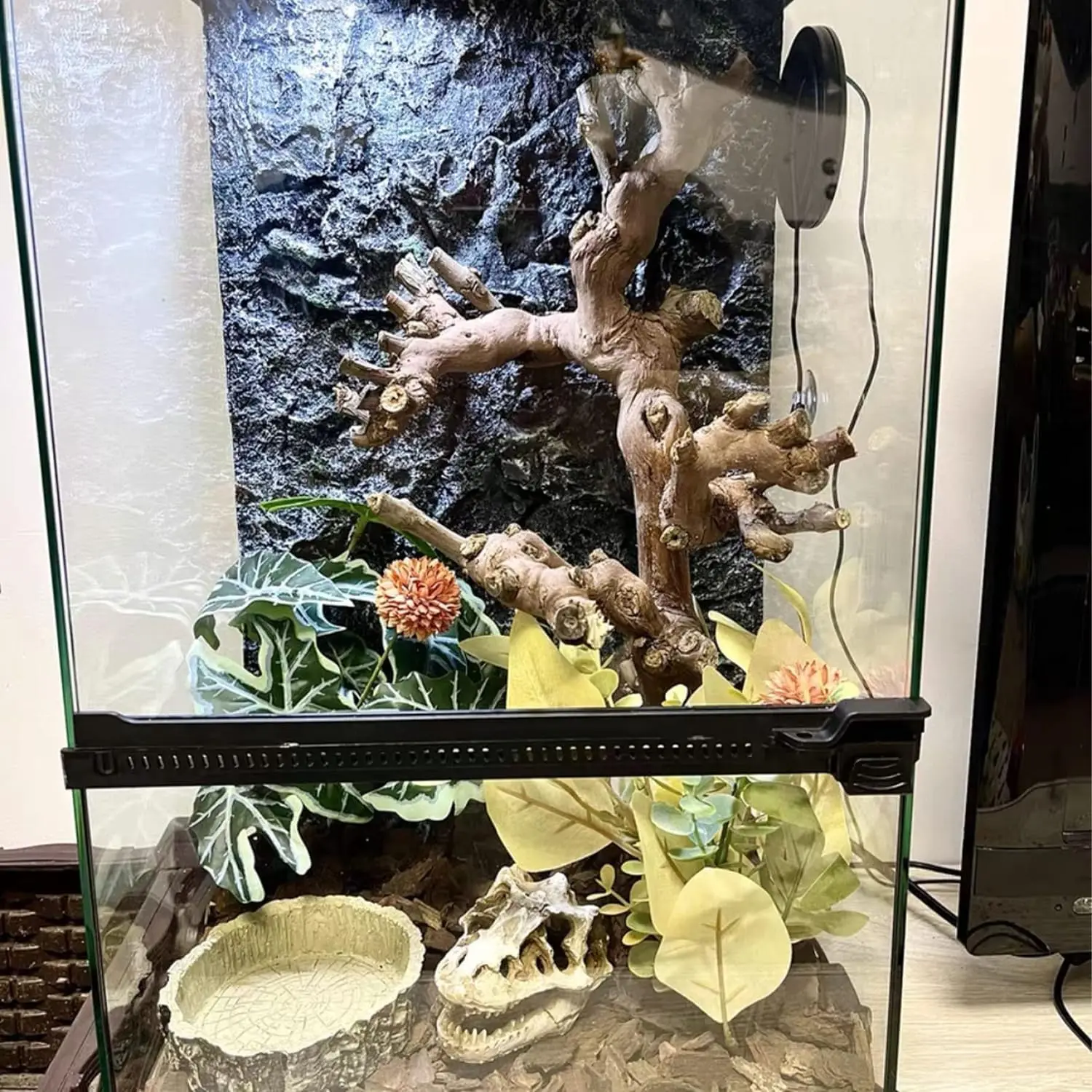 Reptile Grapevine Wood Decoration, Wooden Climb Tree Branch Decor, Grape Wood Branches for Leopard Gecko Lizard Frog Snake