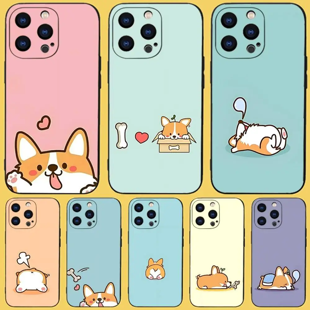 Cute Koki Corgi Dog…