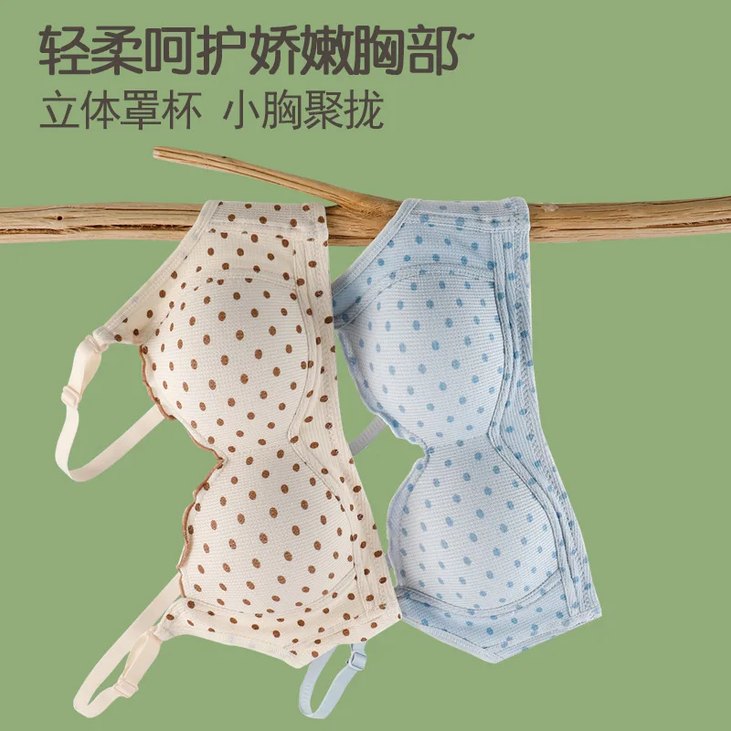 작은 가슴을 가진 여학생 개발 강철 반지가 없는 속옷 여고생 대학생 주니어 h