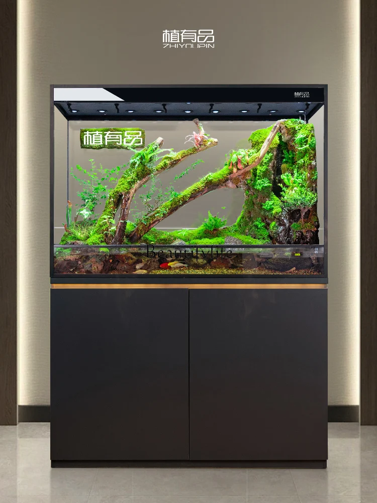 Floor Rain Design Home Display All-in-One Machine Installation Automatic Water Changing Fish Tank