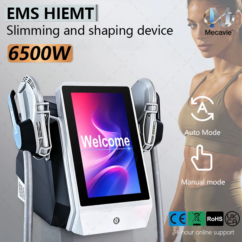 Body Sculpting Fat Removal Machine 200HZ EMS RF 2 Handle Professional Beauty Equipment 2026 for Salon and Beauty Studio
