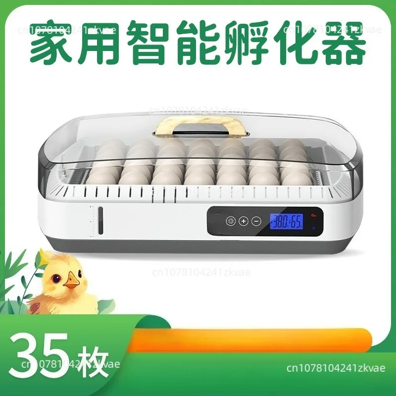 Chick Incubator 35 Pieces Home Incubation Equipment Model Humidity Control and Temperature Control Visual Cover Incubation