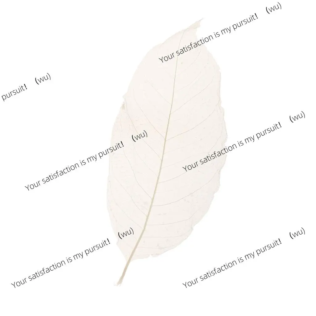 for 50set Flower Magnolia Skeleton Leaf Wedding Ornament Supplies
