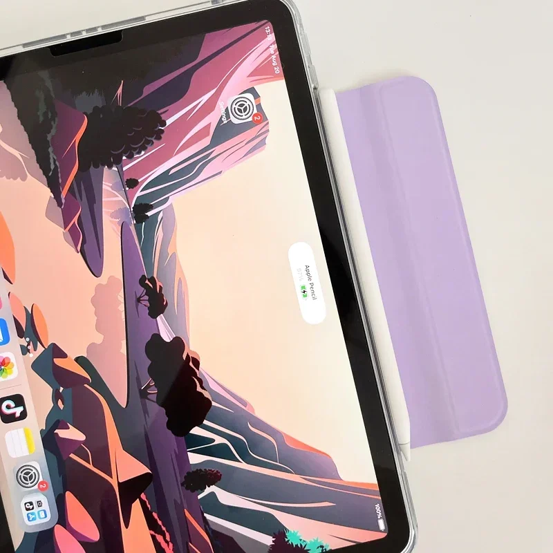 iPadケース Air Pro 4 5 6 7 8 9 10世代 2025 10.9 11 12.9 13インチ Mini レザー スタンド クリア 透明 タブレットカバー