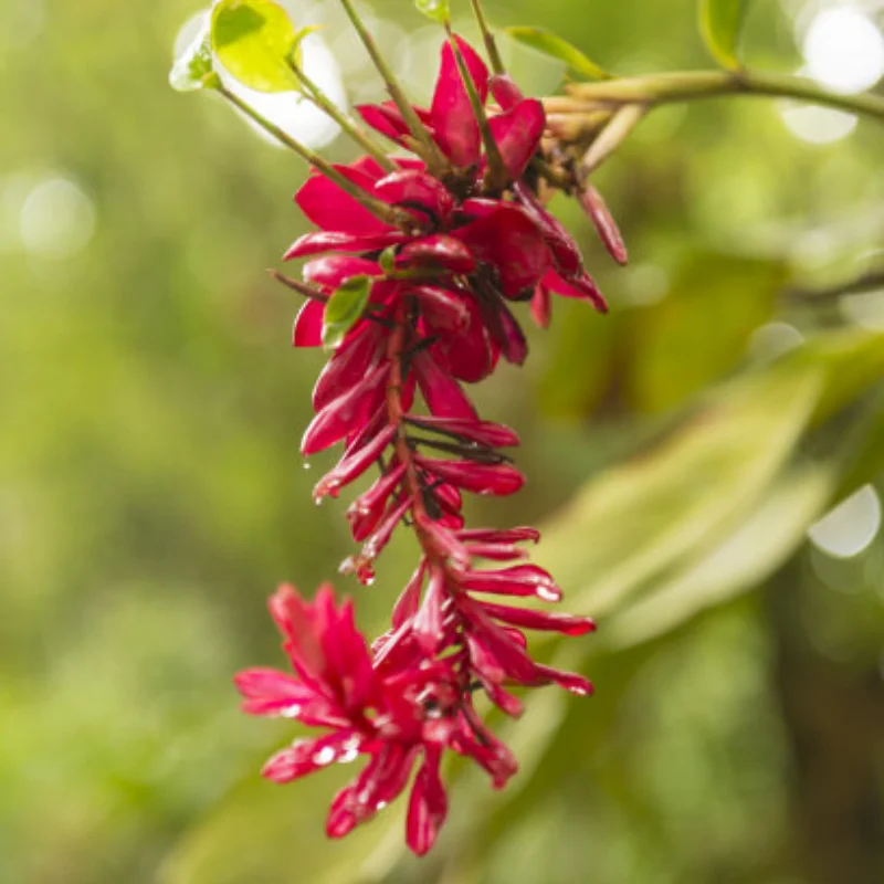 

Metal Upper Lower Swing Arm Steering Cup Hex Adapter Accessories Set for WPL D12 1/10 RC Car Upgrades Parts