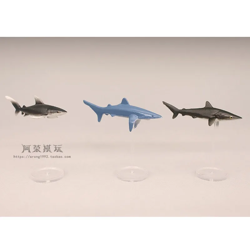 Animali marini in miniatura Action Figures Modello Squalo a testa di martello Squalo blu Grande squalo bianco Decorazione paesaggio microscopico