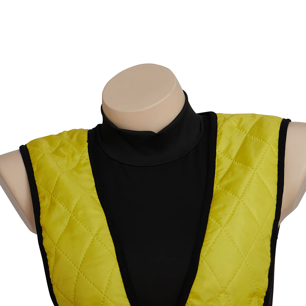 لعبة مورتال كومبات X زي العقرب تحت الصفر الزواحف تأثيري الأصفر الأزرق الأخضر معركة البدلة المرأة الزي هالوين زي