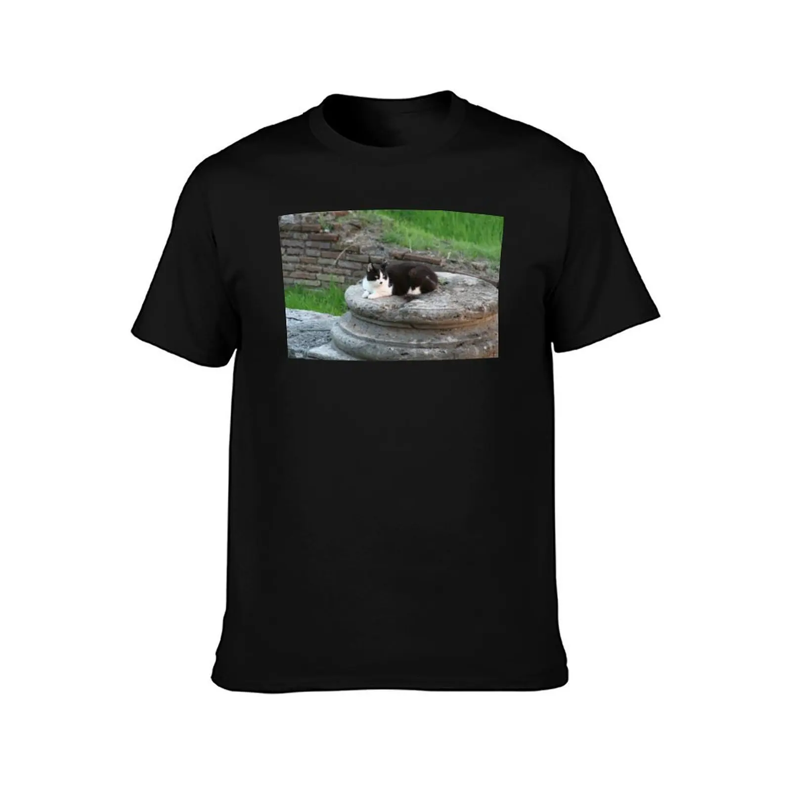 Archaeologist Cat Resting on a Roman Column T-Shirt Big Size Crew Neck T-Shirt