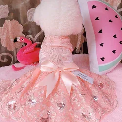 Princess Lace Wedding Dress for Pet, Teddy Skirt for Small Puppy, Luxury Tulle for Dog and Cat