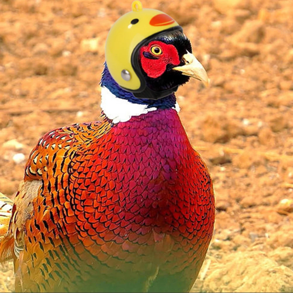 

Chicken Costume Pet Safety Hens Pp Accessories Protection Cool Supplies Parrot