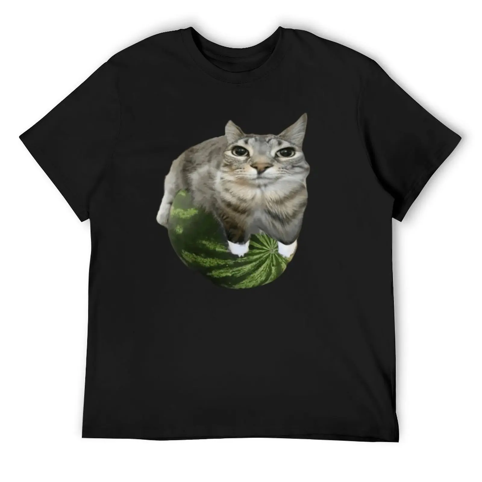 

watermelon cat T-Shirt kawaii clothes plus size clothes boys animal print fitted t shirts for men