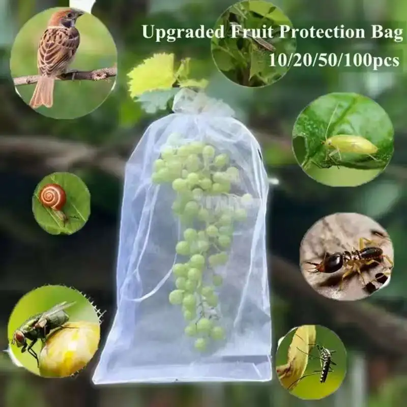 

Non-woven Drawstring Fruit Grow Bags Flowers Fruits Cover For Protecting Fruits and Repelling Insects Anti-Bird Gardening Tools