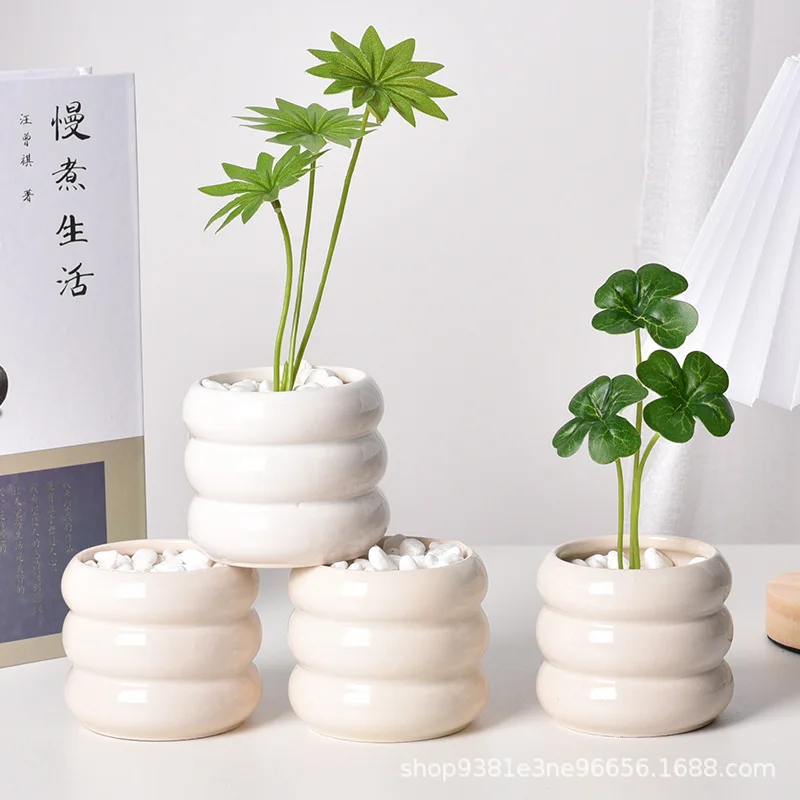 clay pots for succulents Buy Succulent Pot Online: 2.5