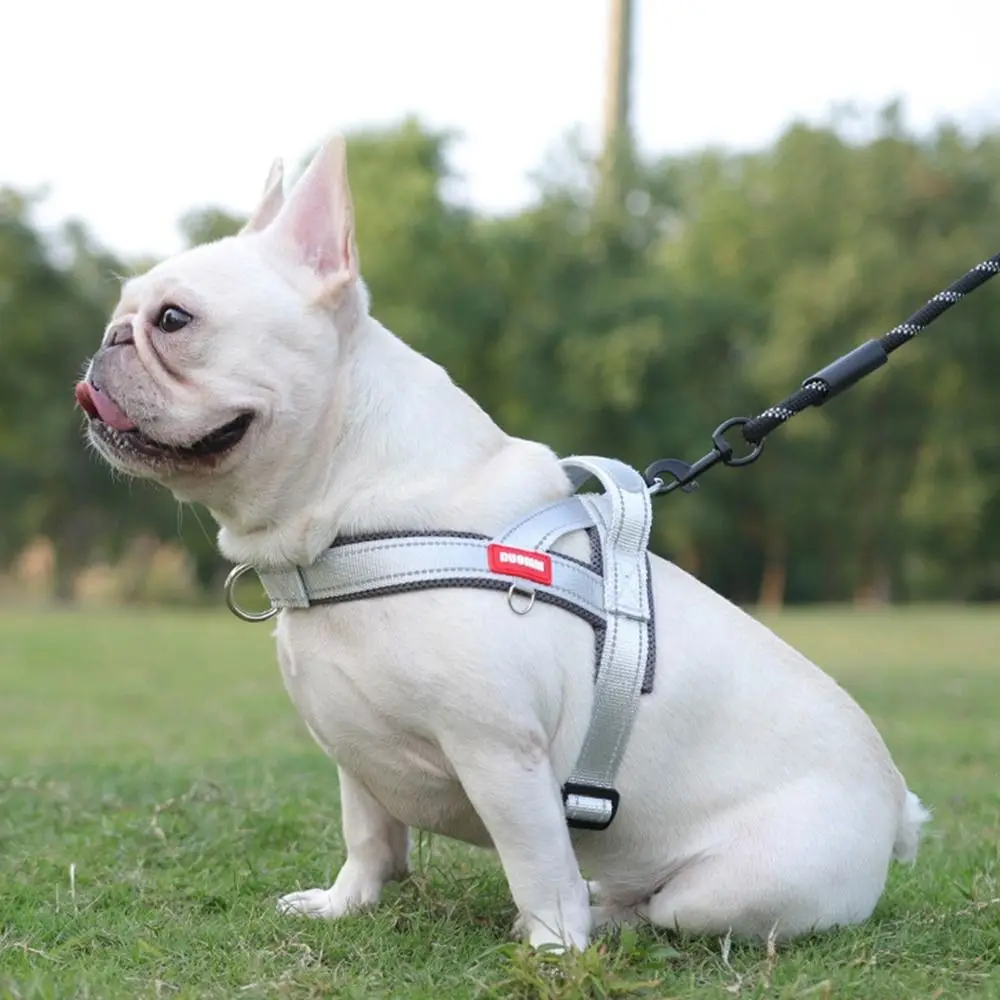 قابل للتعديل الكلب تسخير سترة مريحة عاكسة الكلب حزام الصدر واقية من الانفجار مقاومة للاهتراء سترة للحيوانات الأليفة للكلاب المتوسطة الصغيرة